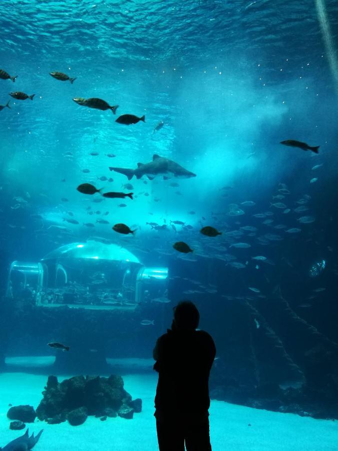 Las Canteras Aquarium Las Palmas de Gran Canaria Bagian luar foto