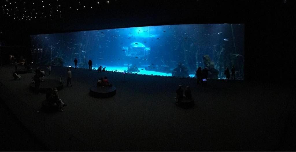 Las Canteras Aquarium Las Palmas de Gran Canaria Bagian luar foto